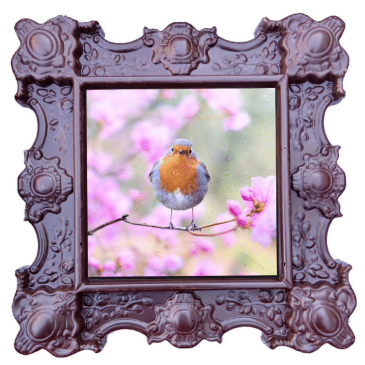 Beautiful Bird – Unique chocolate gift